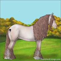 Horse Color:Watercolor Sable Champagne Pearl Dun 
