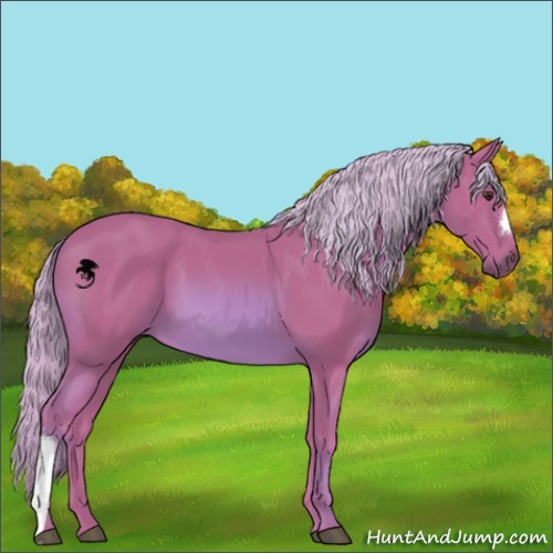 Horse Color:Watercolor Chestnut 