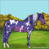 Horse Color:Watercolor White Spotted Brown 