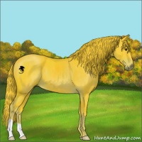 Horse Color:Watercolor Liver Chestnut 