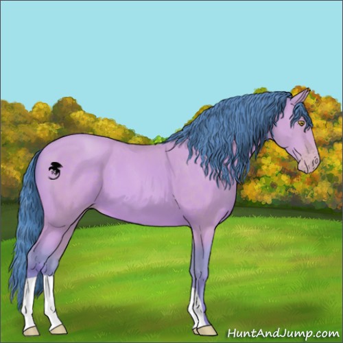 Horse Color:Watercolor Sable Champagne 