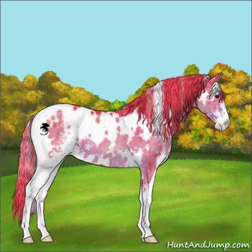 Horse Color:Watercolor White Spotted Liver Red Dun Sabino Brindle 