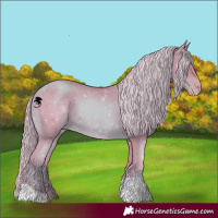 Horse Color:Watercolor Gold Champagne 