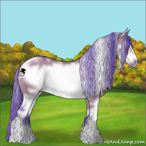 Horse Color:Watercolor White Spotted Grullo Sabino Frame 