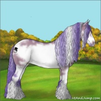 Horse Color:Watercolor White Spotted Grullo Sabino Frame 