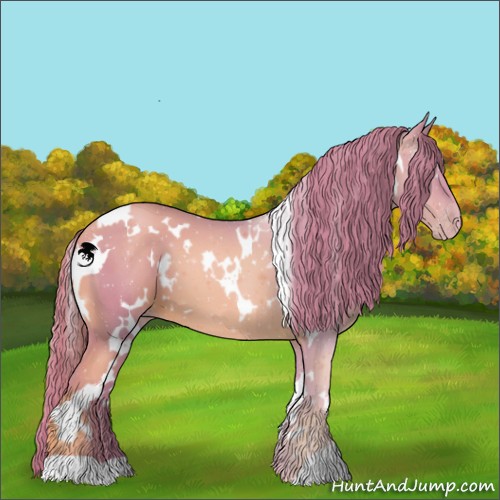 Horse Color:Watercolor White Spotted Gold Champagne 