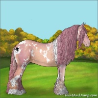 Horse Color:Watercolor White Spotted Gold Champagne 