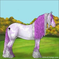 Horse Color:Watercolor White Spotted Liver Red Dun Pearl 