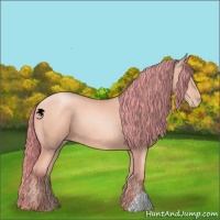 Horse Color:Watercolor Chocolate Sable Champagne Pearl 