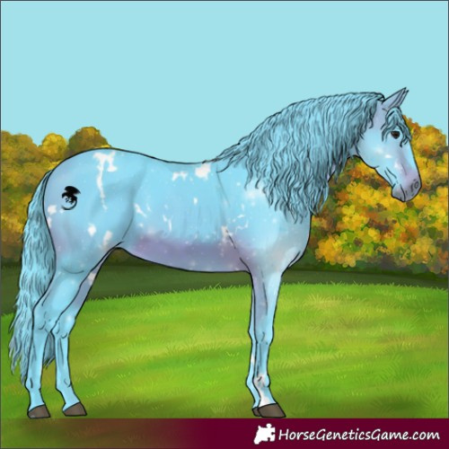 Horse Color:Watercolor White Spotted Brown 