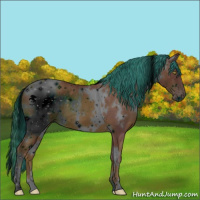 Horse Color:ERROR: UNKNOWN ANOMALY