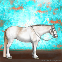 Horse Color:Gray White Spotted Smoky Black Pearl