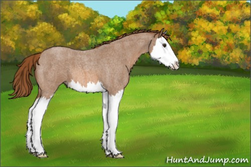 Horse Color:Red Roan Splash 