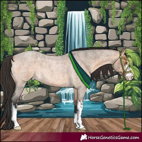 Horse Color:White Spotted Brown Roan Dun 