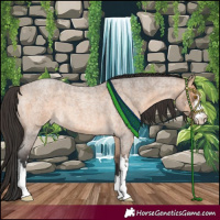 Horse Color:White Spotted Brown Roan Dun 