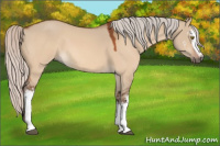 Horse Color:White Spotted Silver Bay Dun 