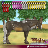 Horse Color:White Spotted Silver Buckskin Mushroom Sabino 