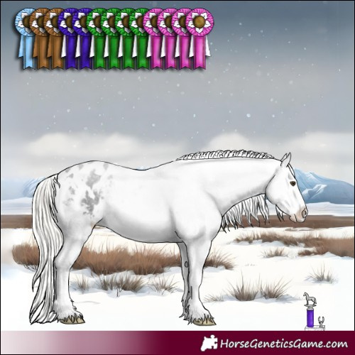 Horse Color:White Spotted Liver Chestnut Mushroom Appaloosa 