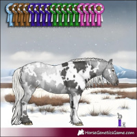 Horse Color:White Spotted Liver Chestnut Mushroom Blanket