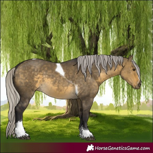 Horse Color:Silver Buckskin Dun Tobiano 