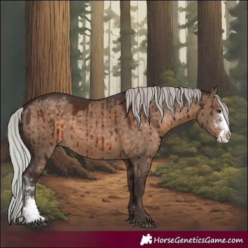 Horse Color:Silver Brown Dun Sabino Brindle 