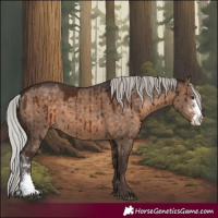 Horse Color:Silver Brown Dun Sabino Brindle 