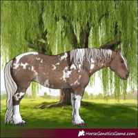 Horse Color:White Spotted Silver Brown Dun Tobiano 