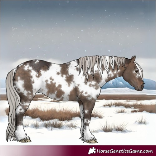 Horse Color:White Spotted Silver Brown Dun