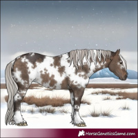 Horse Color:White Spotted Silver Brown Dun 