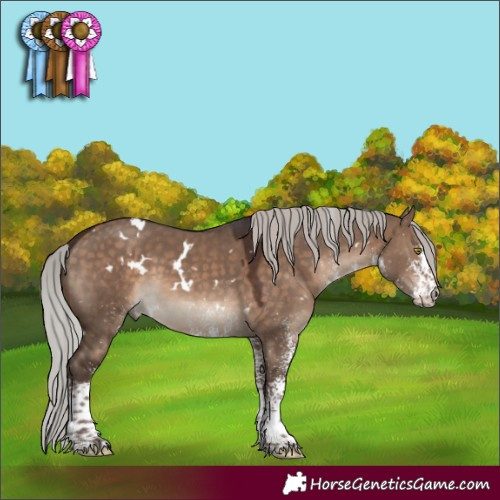 Horse Color:White Spotted Silver Brown Dun 