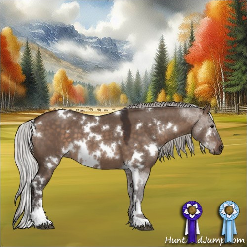 Horse Color:White Spotted Silver Brown Dun Sabino