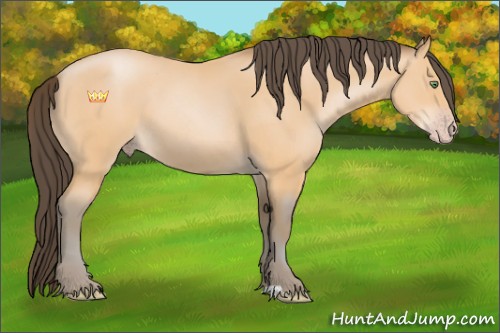 Horse Color:Amber Champagne 