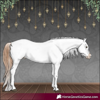 Horse Color:Red Dun Near Leopard 