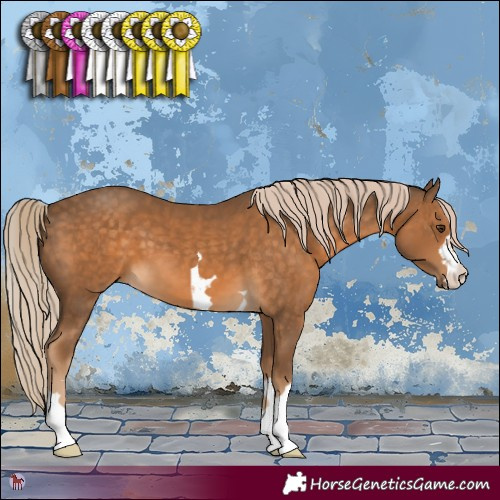 Horse Color:Chocolate Palomino 