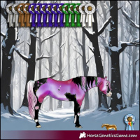 Horse Color:Watercolor White Spotted Liver Red Onyx Tobiano 