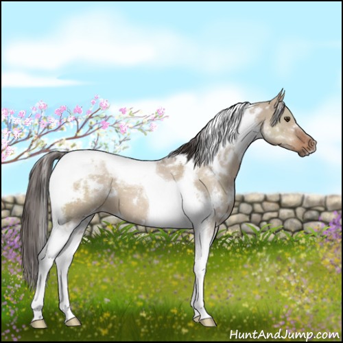 Horse Color:White Spotted Liver Red Dun Tobiano 