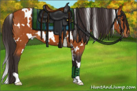 Horse Color:White Spotted Buckskin 