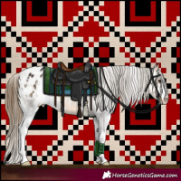 Horse Color:Buckskin Sabino Blanket 
