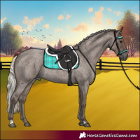 Horse Color:Silver Blue Roan 