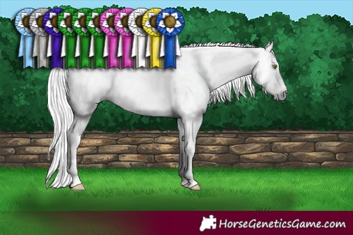 Horse Color:Gray White Spotted Silver Sable Champagne Sabino Appaloosa Rabicano 