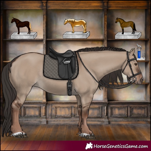 Horse Color:Liver Red Dun Rabicano 