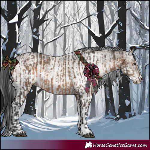 Horse Color:Brown Dun  and White Spotted Brown Dun 