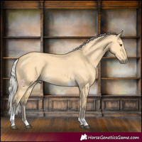 Horse Color:Silver Buckskin Dun Tobiano 