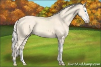 Horse Color:Cremello Splash  and Cremello Splash 