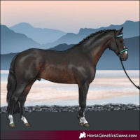 Horse Color:Brown 