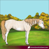 Horse Color:Red Dun Roan Splash Frame Rabicano 