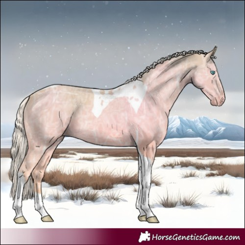 Horse Color:Cremello Ice Tobiano 