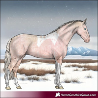 Horse Color:Cremello Ice Tobiano 