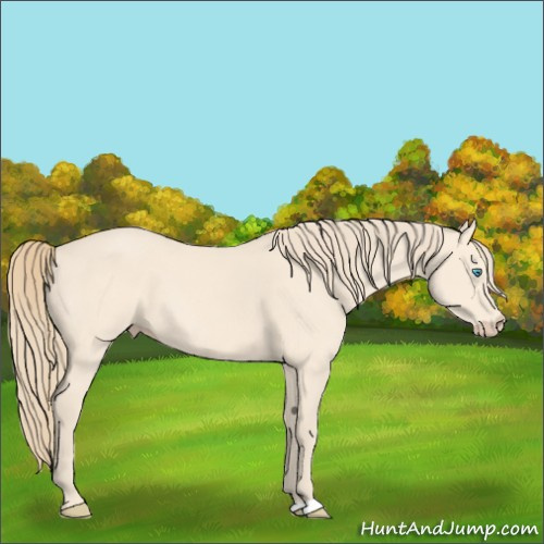 Horse Color:Perlino 