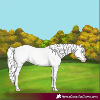 Horse Color:Silver Smoky Creme Dun 